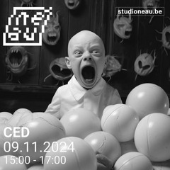CED — Bazar Bizar #30
