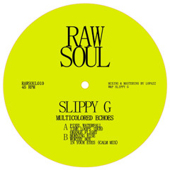 RAWSOUL0010 I Slippy G. - Multicolored Echoes EP