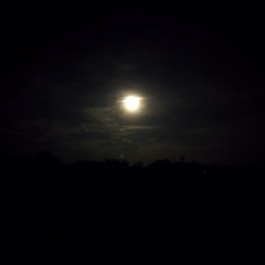 Still Night