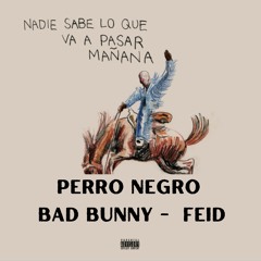PERRO NEGRO By Bad Bunny - Feid 😎 (Taba perdida y ahora anda en to' lao', ey, ey Uno prendío)