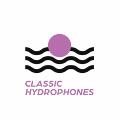Classic Water-proof mono contact Hydrophone 2