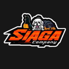BJS - MIXTAPE SPECIAL FOR SIAGA COMPANY #REBAHHH