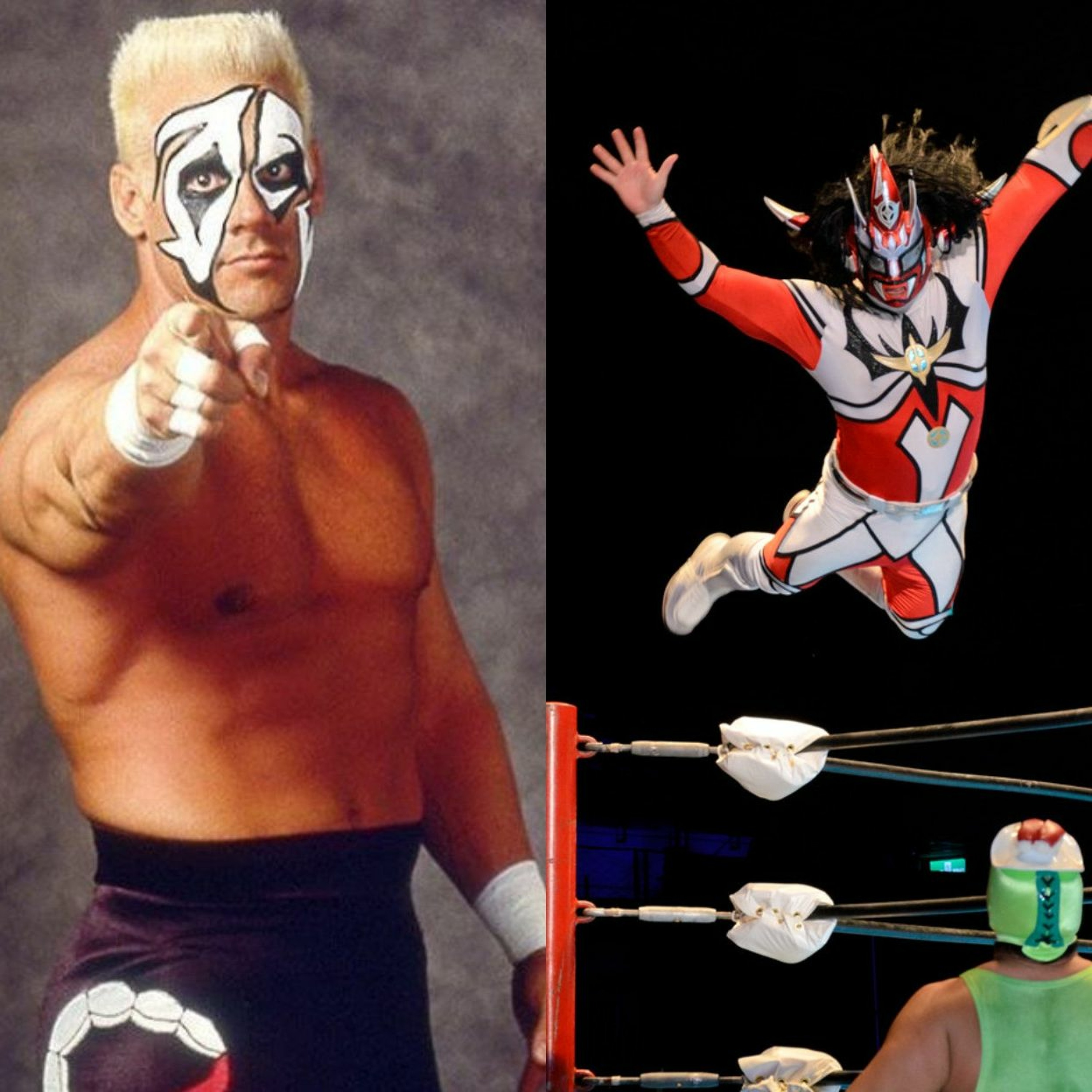 The Wrestlecube