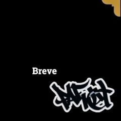 Breve / LDSR 205
