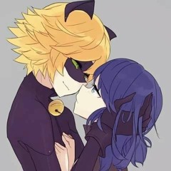 Miraculous/Chat Noir Our Way Out