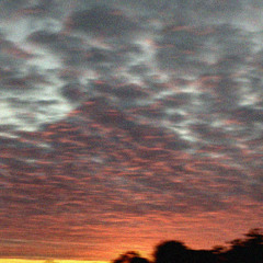 ODD MAMI - Ultra (exrilot flip)