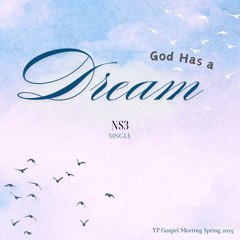 NS3 - God Has A Dream
