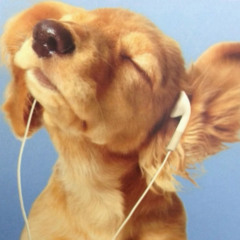 notscale - better off alone (archive)