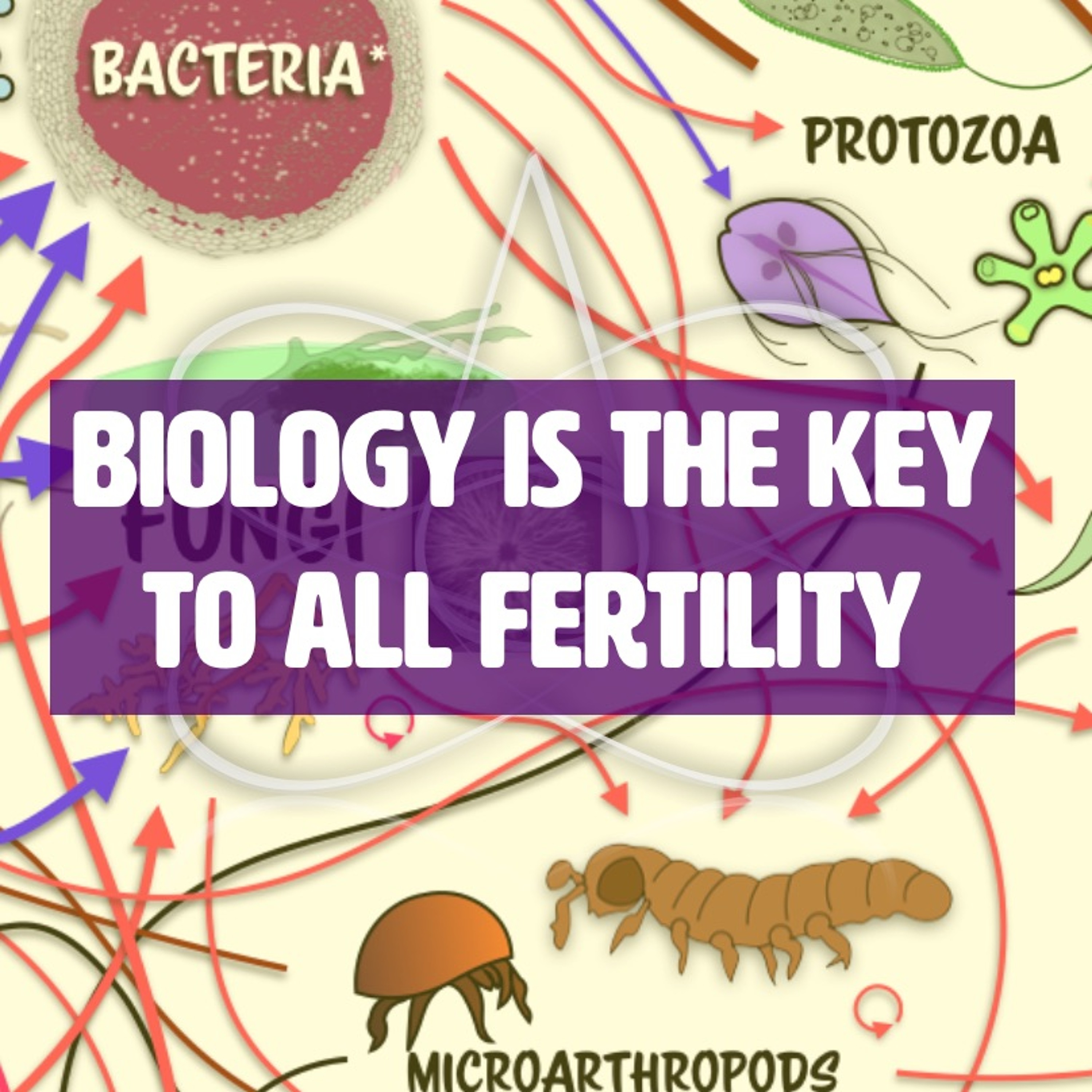 Ep. 190 | Soil Biology Is The Key To All Fertility