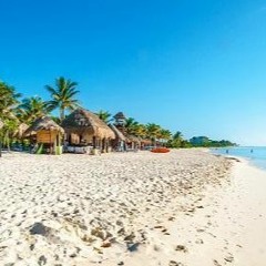 Down In Mexico