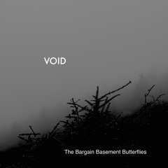 Void