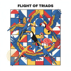 Flight of Triads featuring Ayla
