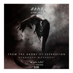 From The Agony of Separation - Behnoosh Movahedi