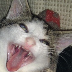 TOBIAS's AUTO  Mix 2