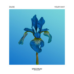 Your Way