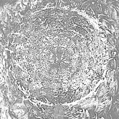 Venom - empyrean (Unit 17 Flip)