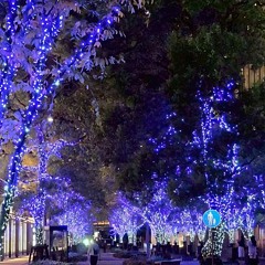 let me feel you this moment