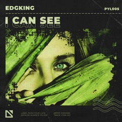 Edgking - I Can See