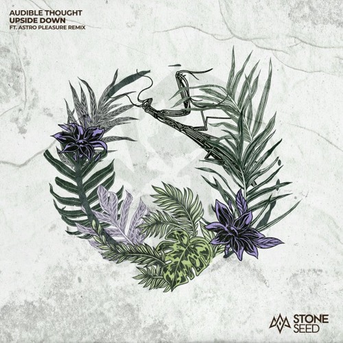 Premiere: Audible Thought - Upside Down (Astro Pleasure Dub Edition) [Stone Seed]
