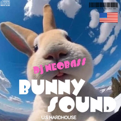 Dj Neobass - Bunny Sound