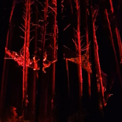 (Closing of) La Mezquida's Techno Slut Trap @ Shibari Chill Web - Borderland 2025