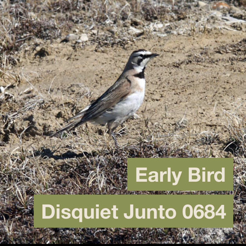disquiet0684