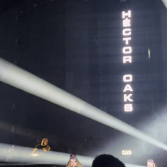 Hector Oaks - La linea de la vida (DOOM IS BACK)