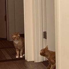 R.R.S. By: Madam Z and Mob Jay (Ft. Perri and Dot)