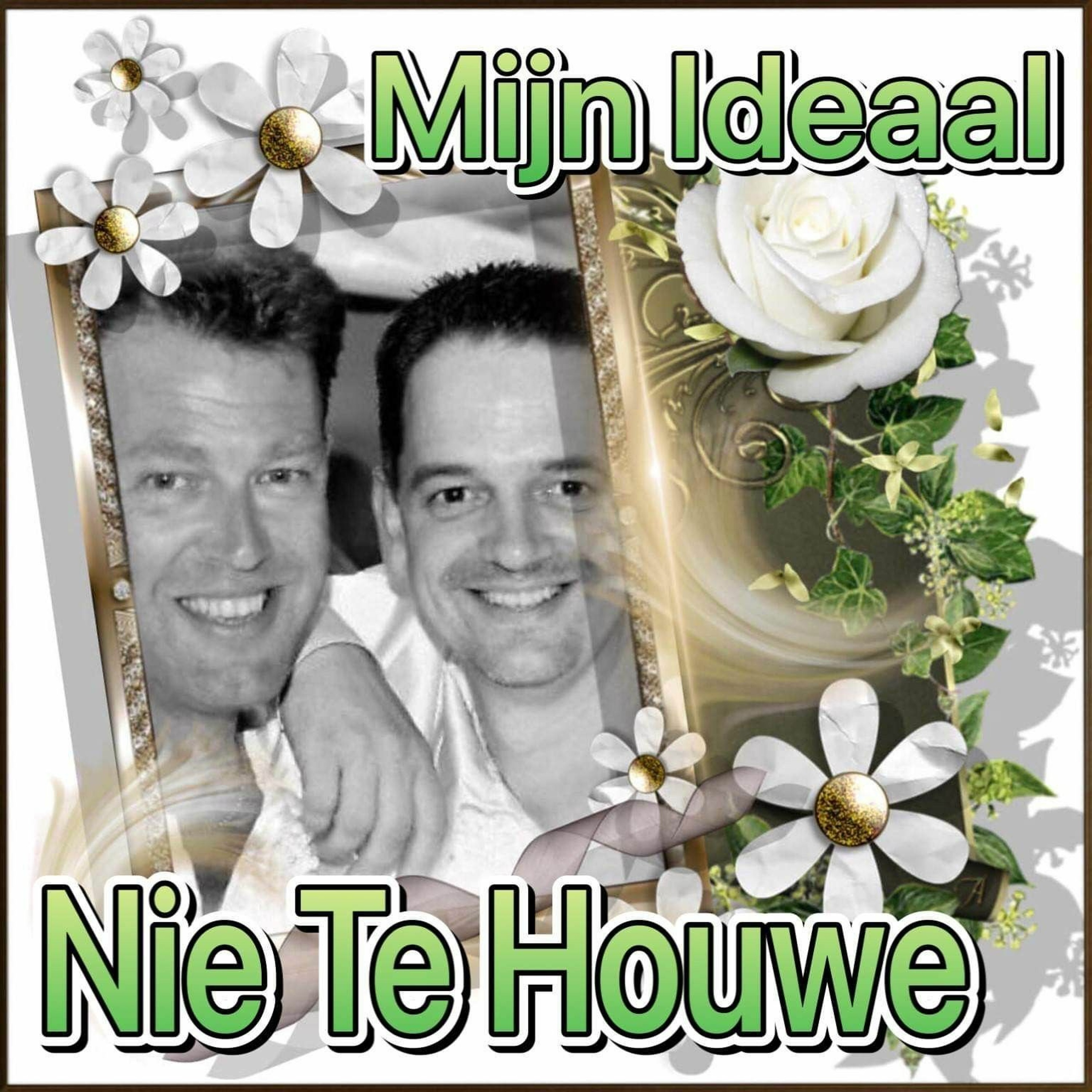 Feest