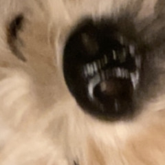 Hank the wanker feat.  AR, jayjay, OT