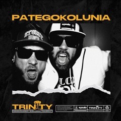 TRINITY - PATEGOKOLUNIA (WAVY. REMIX)