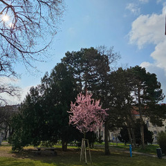 Vienna Etudes No. 2, by Varoujan & Shahyar Ghanbari