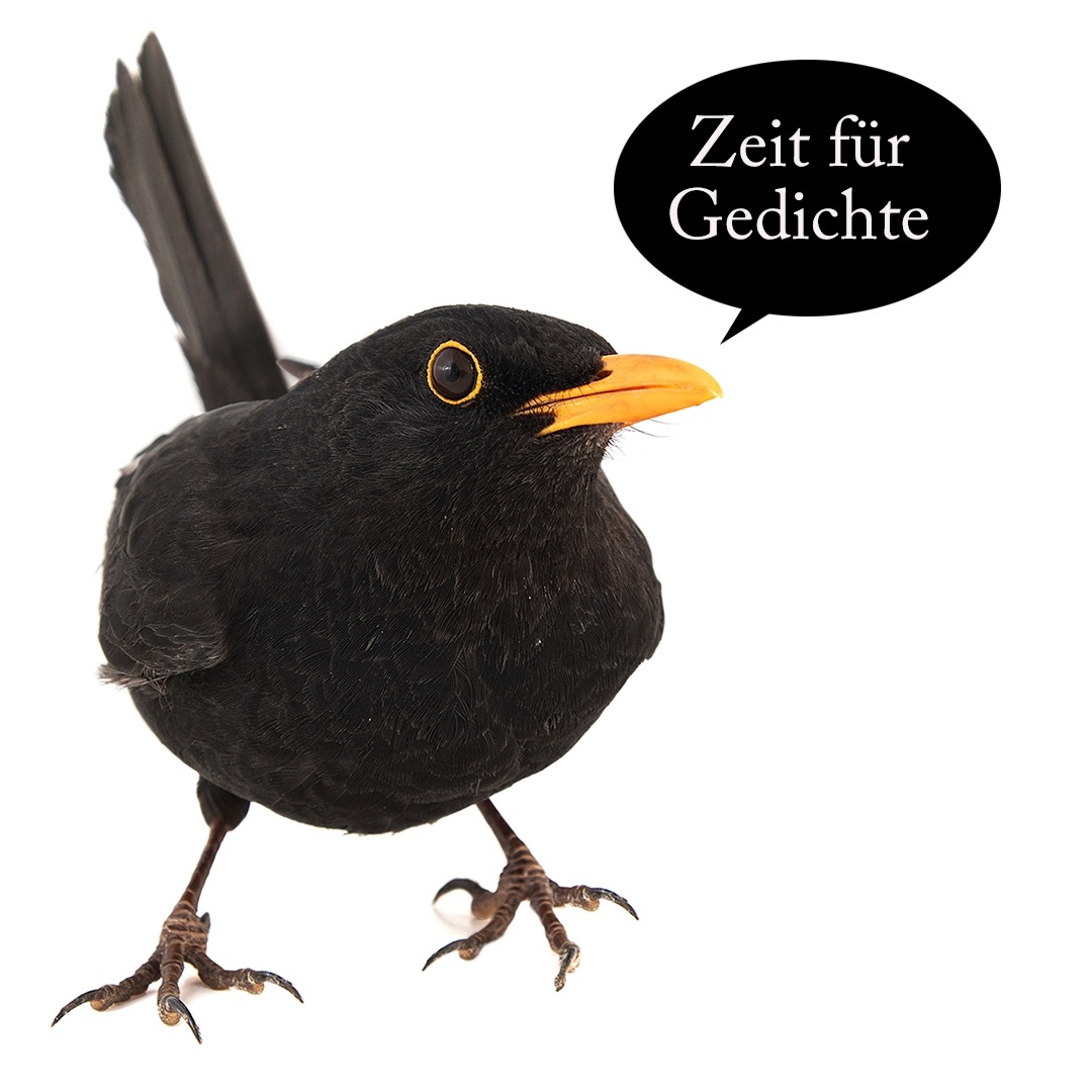 museumsreif