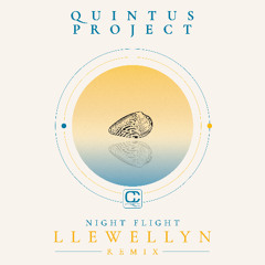 PREMIERE: Quintus Project - Night Flight (Llewellyn Remix) [Compost Records]