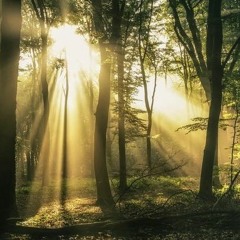 Bright Horizons #1