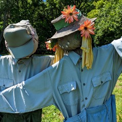 The Miidnight Special