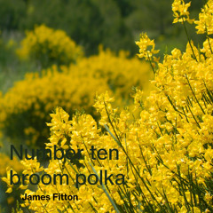 Number ten broom polka