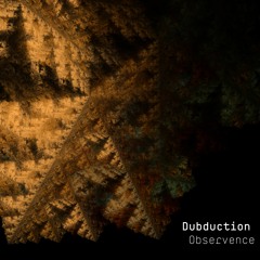 Dubduction - Observence