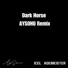 Katy Perry “Dark Horse” - AySonu Remix
