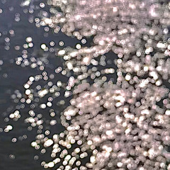 01 - 見る