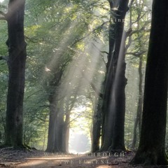 The Sound of the Forest