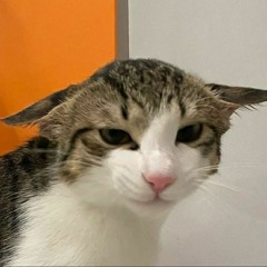 Они Любят Летать (platov flip @dakota)