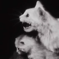 MORE ENERGY PROD UHMNICK