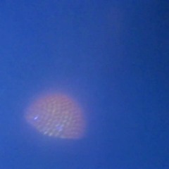 Sample1