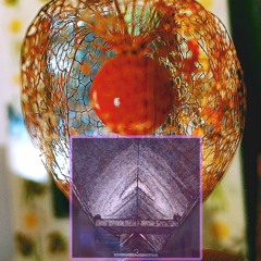 Crash sachet