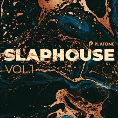 Slap House Sample Pack