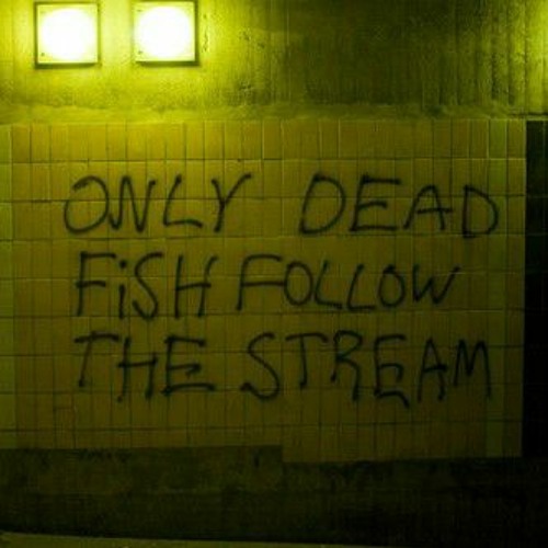 التونسى .. شريف الغمراوى