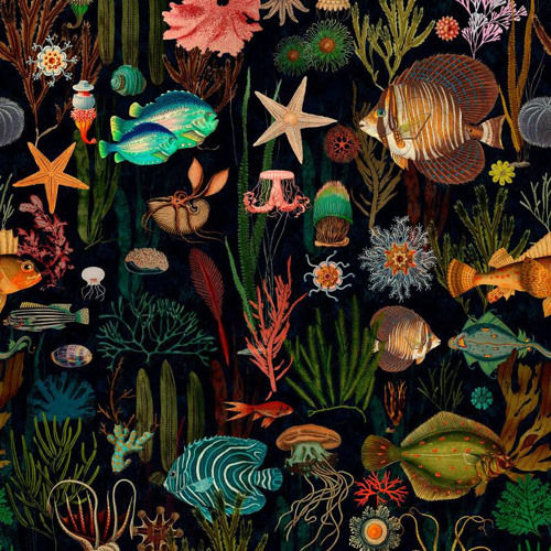 STARFISH.wav