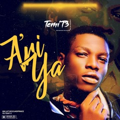Temi T3--Ariya.mp3