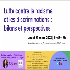 Lutte contre le racisme et les discriminations : bilans et perspectives 2023